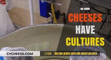 Do Hard Cheeses Have Cultures? Unraveling the Microbial Mystery