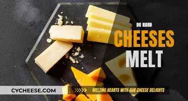 Cheese Melting: Hard Cheeses' Melting Mystery Explained
