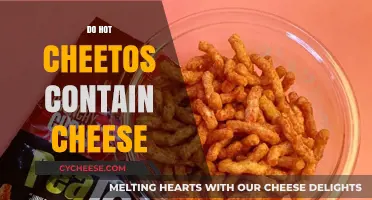 Do Hot Cheetos Contain Cheese? Unraveling the Spicy Snack Mystery