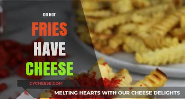 Do Hot Fries Contain Cheese? Unraveling the Crunchy Mystery