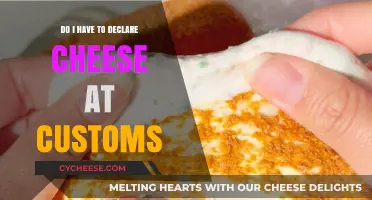 Declaring Cheese at Customs: What Travelers Need to Know