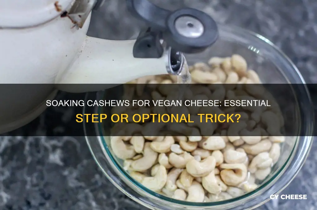 do i have to soak the cashews for vegan cheese