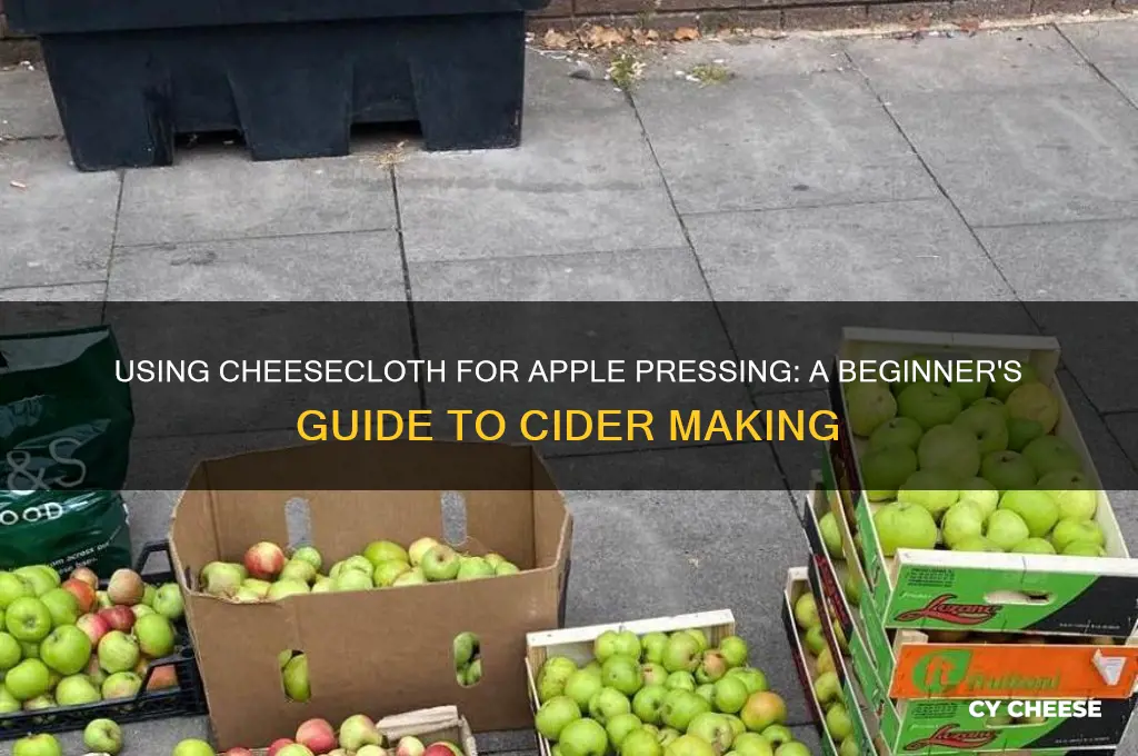 do i ise cheese clothe when pressing apples