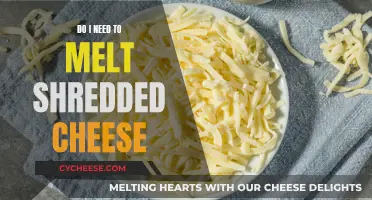 Melted Bliss: Shredded Cheese's Magic Transformation