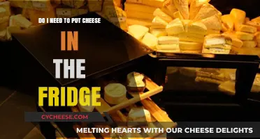 Cheese Storage: Fridge or No Fridge?