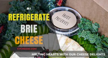 Should You Refrigerate Brie Cheese? Storage Tips for Perfect Texture