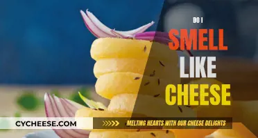 The Mystery of Cheesy Body Odor