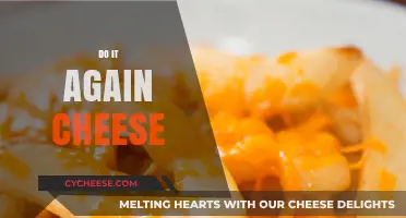 Do It Again Cheese: Mastering the Art of Perfectly Reheated Cheese