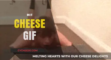 Cheesy Fun: The Viral 'Do It Cheese' GIF Explained and Celebrated