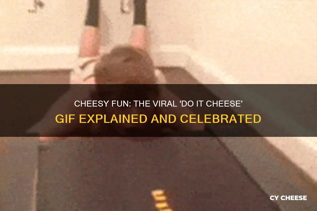 do it cheese gif