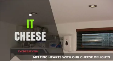 Melt into Bliss: Mastering the Art of Do It Yourself Cheese