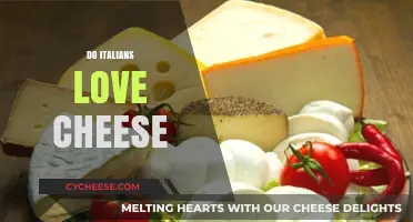 Italians and Cheese: A Match Made in Culinary Heaven?
