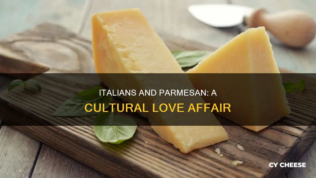 do italians parmesan cheese