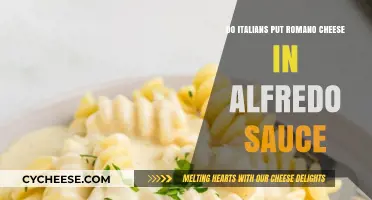 Romano Cheese in Alfredo: Italian Style