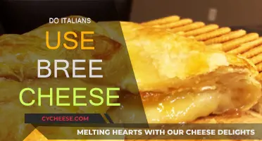 Italians and Brie: A Culinary Love Story