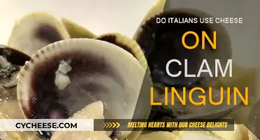 Cheese on Clam Linguine: An Italian Perspective