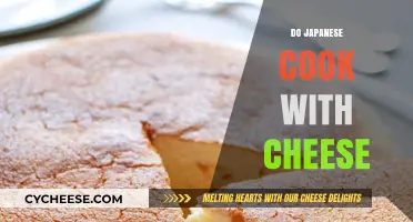 The Art of Japanese Cheese: A Melting Pot of Flavors