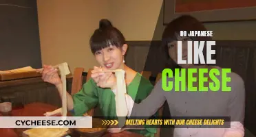 The Japanese and Cheese: A Cultural Taste Test