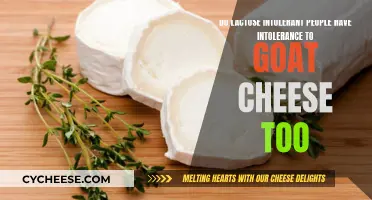 Goat Cheese and Lactose Intolerance: A Tasty Conundrum