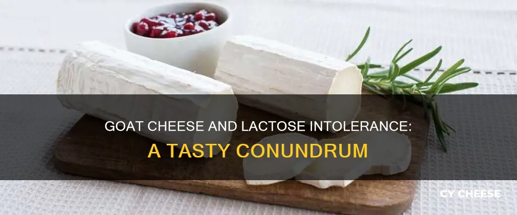 do lactose intolerant people have intolerance to goat cheese too