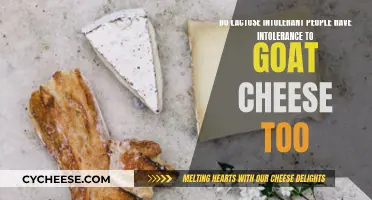 Goat Cheese: A Lactose-Intolerant Person's Safe Haven?