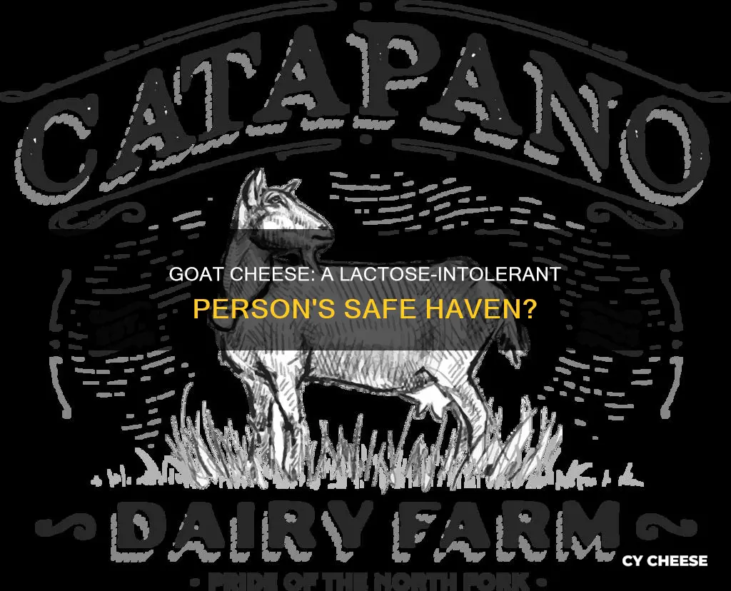 do lactose intolerant people have intolerance to goat cheese too