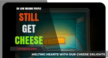 The Mystery of Government Cheese for Low-Income Families