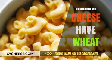 Mac and Cheese: Wheat-Based Comfort Food