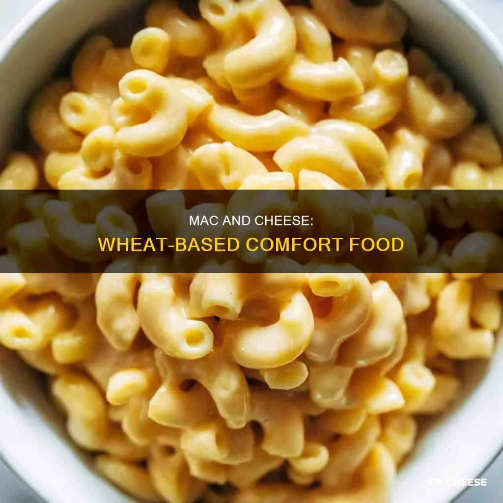 do macaroni and cheese have wheat