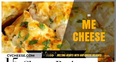 Do Me Cheese: Exploring the Art of Cheesy Delights and Recipes