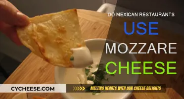 Mozzarella in Mexican Food: A Common Ingredient?