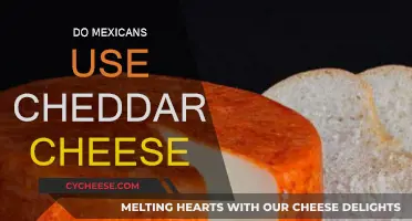 Cheddar in Mexico: A Cultural Cheese Blend