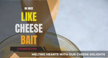 Mice Attraction: Cheese Bait's Appeal Explored