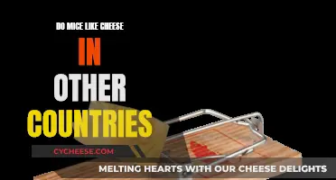 Mice and Cheese: A Global Perspective