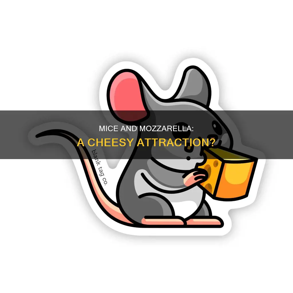 do mice like mozzarella cheese