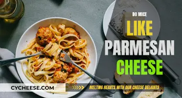 Mice and Parmesan Cheese: A Tasty Treat?
