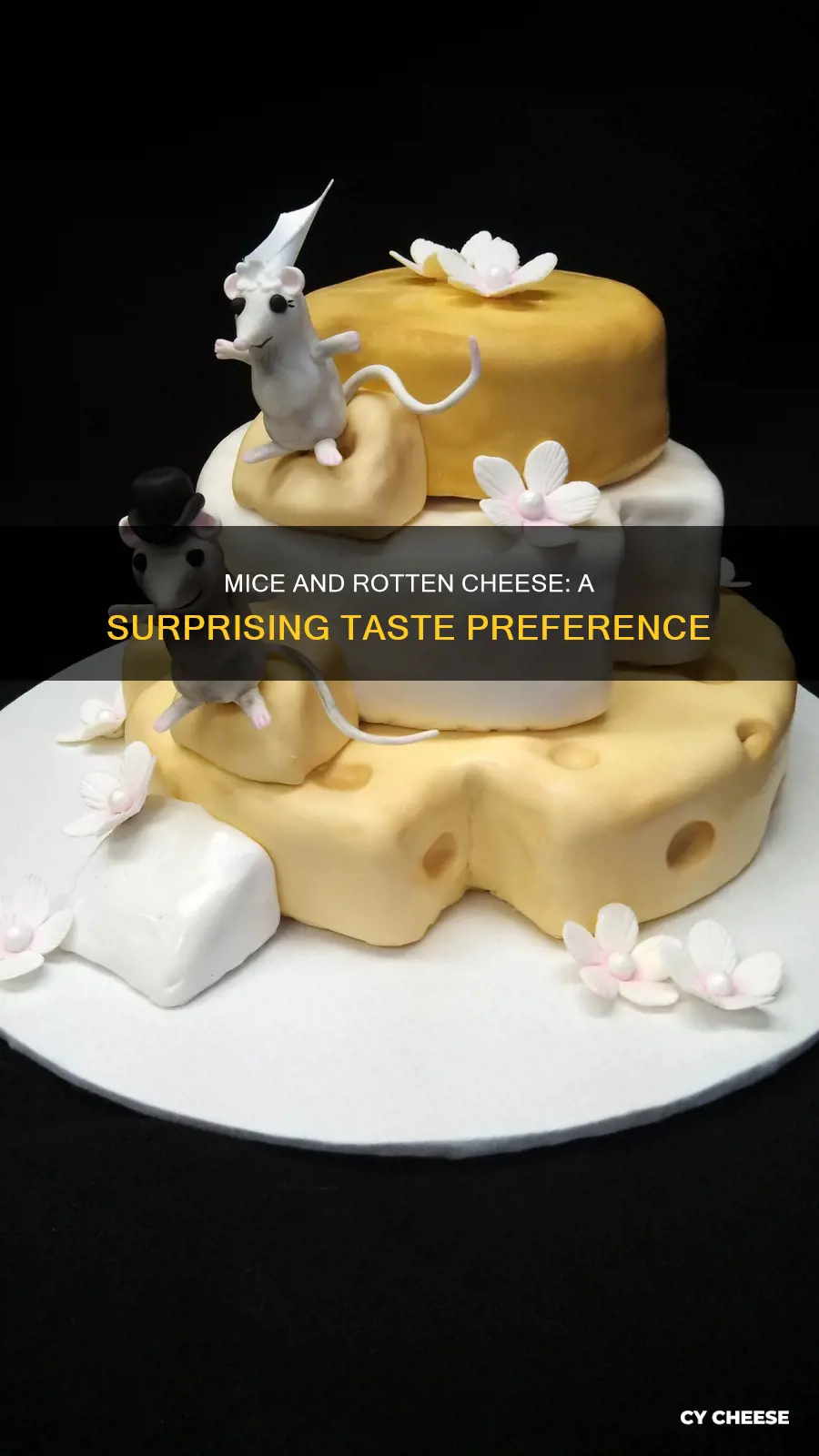 do mice like rotten cheese