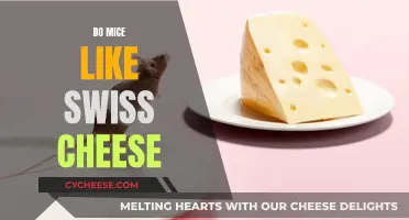 Mice's Favorite: Swiss Cheese?