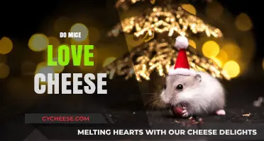 Do Mice Really Love Cheese? Unraveling the Myth and Facts