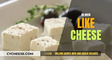 Mice and Cheese: A Tasty Temptation