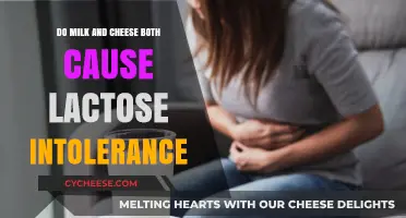 Milk, Cheese, and Lactose Intolerance: Unraveling the Dairy Dilemma