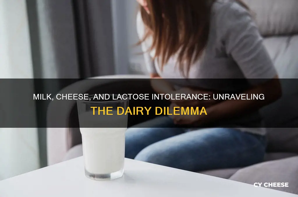 do milk and cheese both cause lactose intolerance