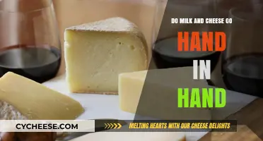 Milk and Cheese: Perfect Pair or Culinary Conundrum?