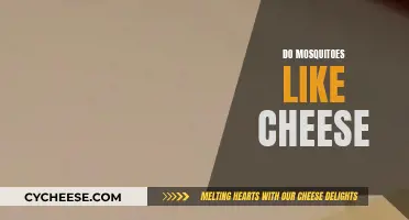 Mosquitoes and Cheese: What's the Connection?