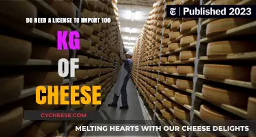Importing 100 kg of Cheese: License Requirements Explained