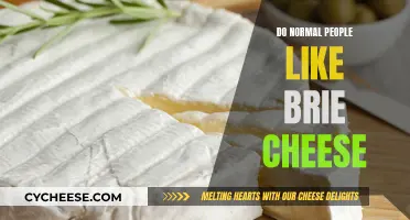 Brie Cheese: A Normal Person's Favorite or Faux Pas?