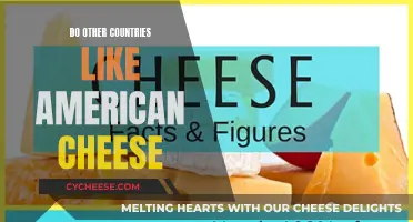 American Cheese: A Global Taste Test