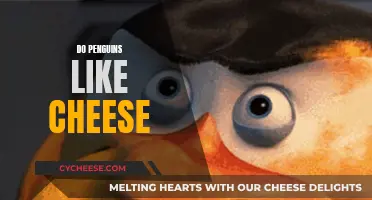 Penguins' Palate: Do They Prefer Cheese?