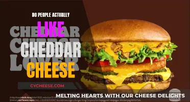 The Cheddar Conundrum: Unveiling the True Cheese Lover's Opinion