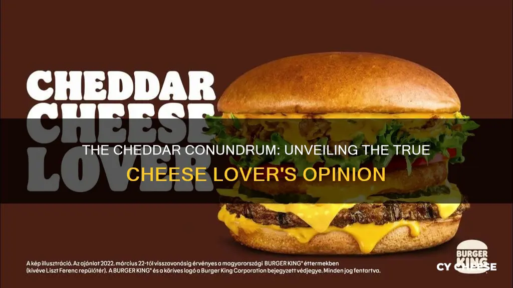 do people actually like cheddar cheese